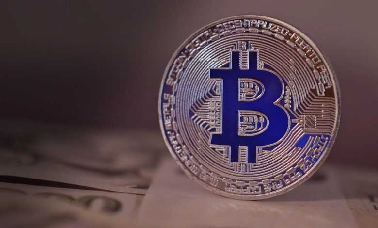 bitcoin, cryptocurrency, btc, currency, future, money, payment, krypto, finance, coin, blue, business, banknotes, silver, bitcoin, bitcoin, bitcoin, bitcoin, bitcoin, cryptocurrency, btc, krypto