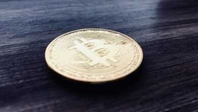 bitcoin, cryptocurrencies, cryptocurrency, btc, currency, future, money, coin, finance, payment, krypto, business, speculation, gold