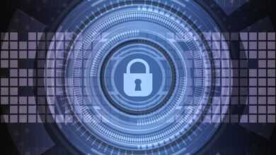 cyber security, information security, data privacy