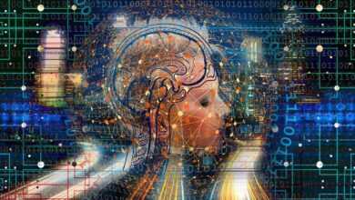 transformation, web, brain, network, city, skyline, computer, digital, www, computer science, transfer, bits, data, networking, communication, connection, blockchain, blockchain, blockchain, blockchain, blockchain, blockchain