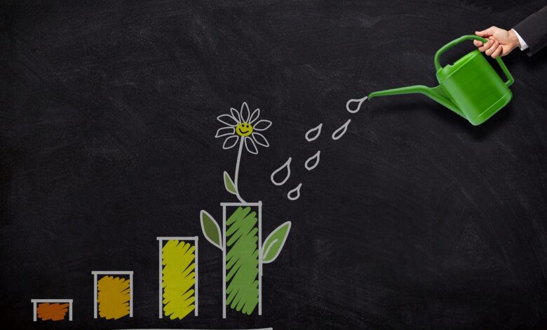 investment, growth, watering, can, money, finance, business, nature, wealth, profit, savings, increase, plant, investment, investment, investment, investment, investment, increase, increase
