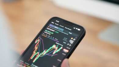 a person holding a cell phone in their hand