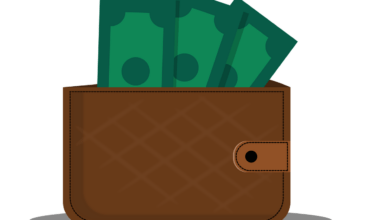wallet, money, items