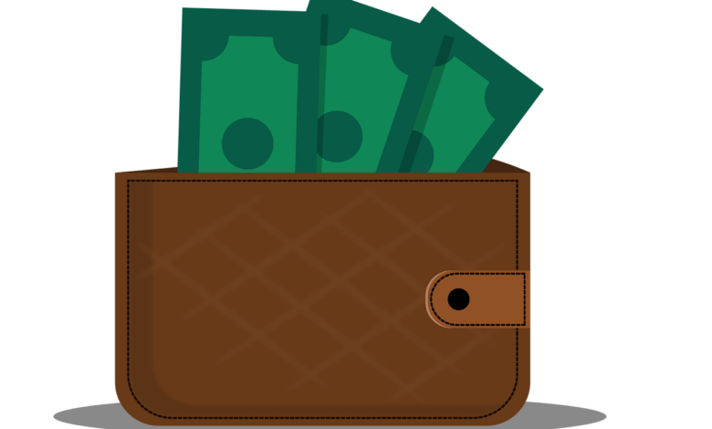 wallet, money, items